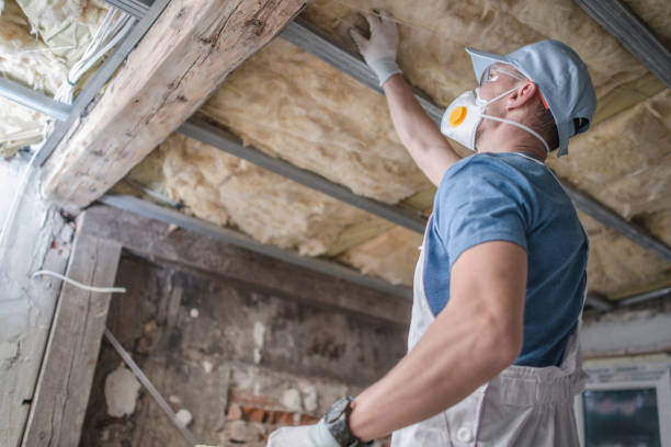 Best Insulation Installation Cost  in Fridley, MN