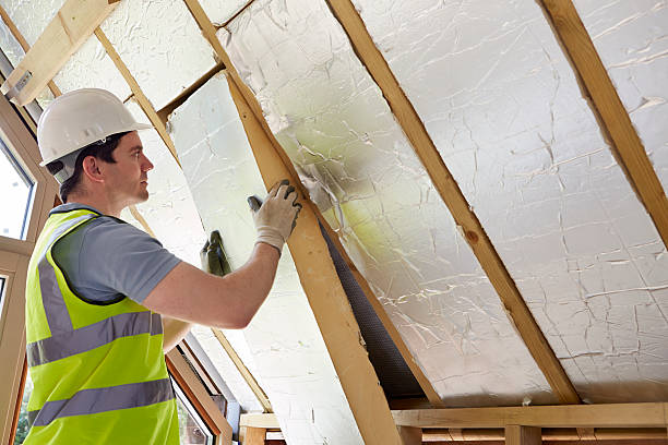 Best Insulation Removal Services  in Fridley, MN